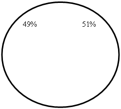 : 49%                       51%